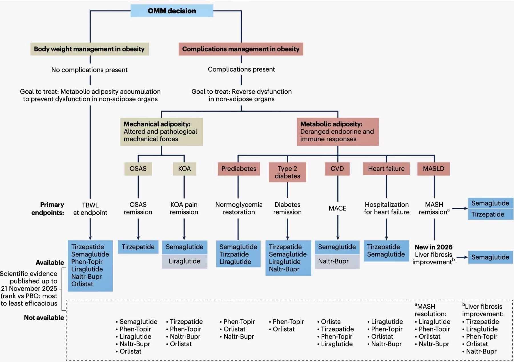 Flowchart of obesity management pathways showing treatment decisions, related complications, primary endpoints, and available medicines, including tirzepatide, semaglutide, and orlistat.