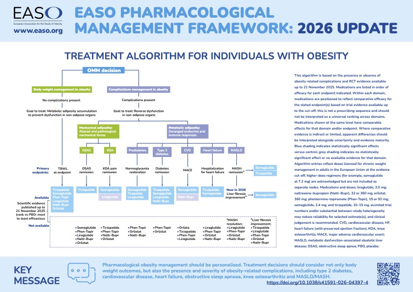 Flowchart showing the EASO 2026 treatment algorithm for obesity, with medication options and decision points, plus explanatory text and a key message at the bottom.